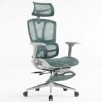 Ergonomic Office Chair with Headrest, Footrest, and 3D Armrest 808 Gray Frame Green Mesh Office Chairs