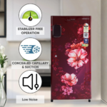 GLDC192ST4LC | LLOYD 178L Single Door Refrigerator Fast Ice Making • 2-Star Power Optimization • 10-Year Compressor Warranty - Image 2